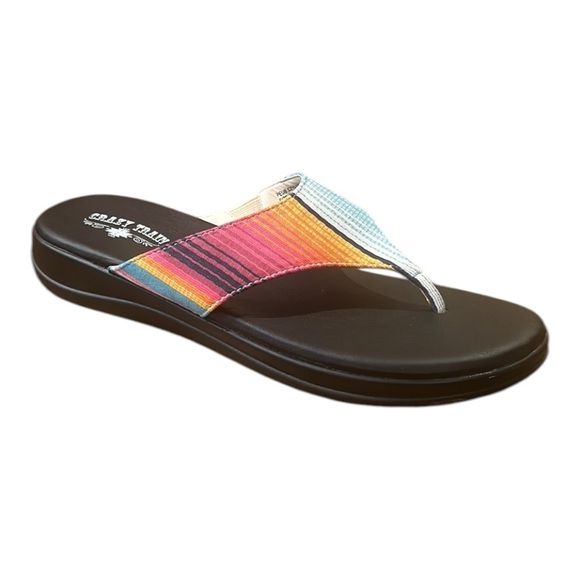 Crazy Train Serape Stripe Flip Flop Sandals Size 9 - Picture 1 of 13